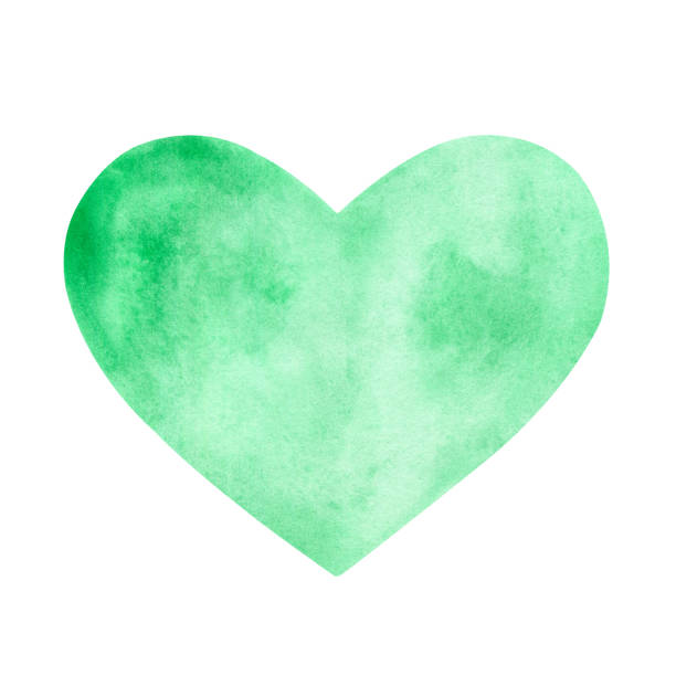 istock Watercolor green heart isolated on a white background. 1954517554