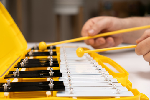 Playing with sticks on a metallophone, a metal xylophone. Percussion Musical Instrument.