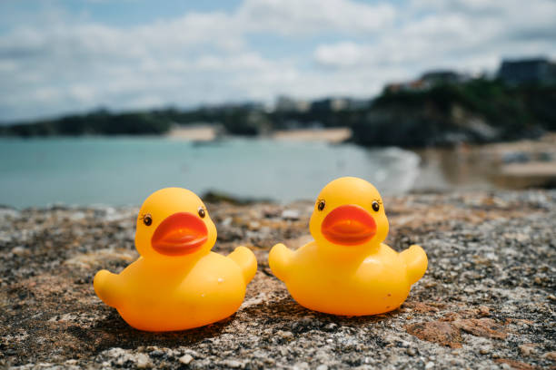 Two rubber ducks on a wall overlooking Towan Beach, Newquay, Cornwall on a sunny June day.