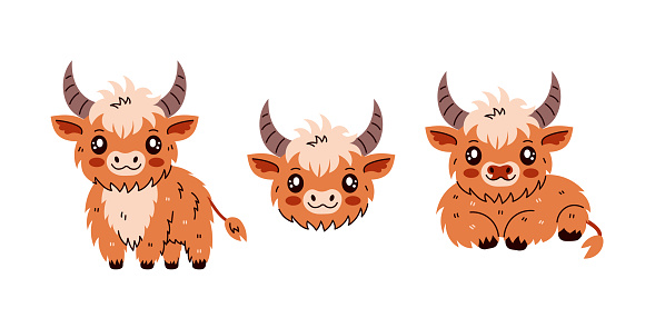 Scottish cattle breed. Furry horned baby animal character design in cartoon slat style. Vector illustration for zoo, kids, farming, organic milk, dairy product design