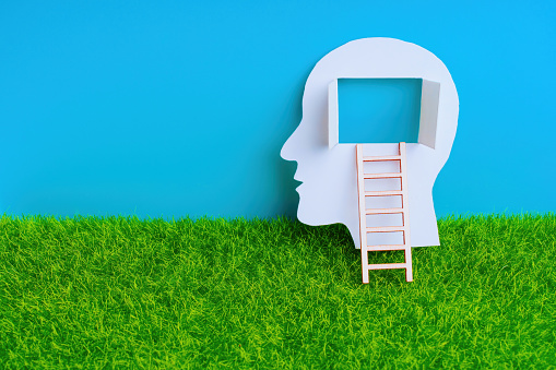 Male head paper cutout with a wooden ladder leading to the open window in the brain area, set against green lawn and blue sky backdrop. Educational ascent related concept.