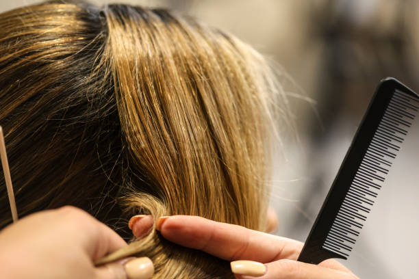 istock Hairdresser 1954626068