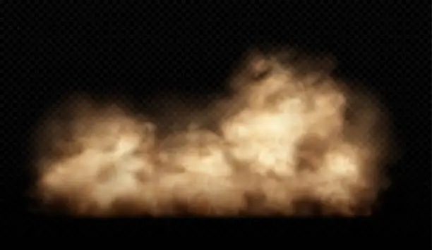 Vector illustration of Sand cloud with dust isolated on transparent background. Desert storm, sandstorm. Brown dusty cloud or dry sand flying. Realistic vector illustration_3
