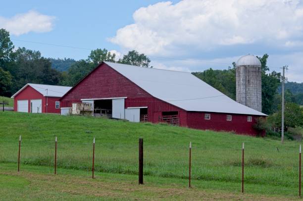 istock Rural barn in a green field 1954660329