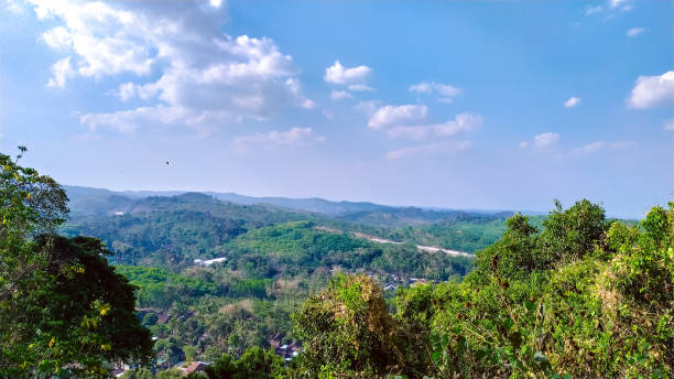 istock Aerial view landscape tropical forest, cloudy sky 1954663094