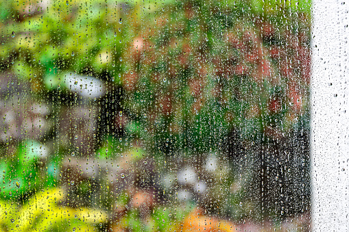 Rain on a window with garden
