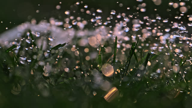 SPEED RAMPING SLO MO Nature's Serenade: Raindrops Dance in Super Slow Motion Over Verdant Green Grass