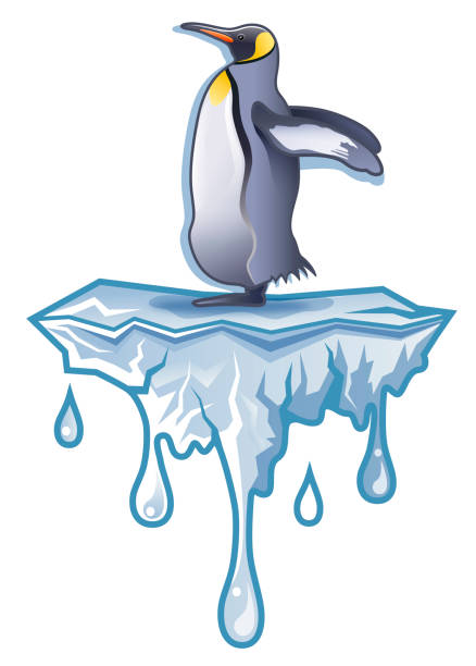 ilustrações de stock, clip art, desenhos animados e ícones de antarctica king penguin standing on melting iceberg illustration - penguin animal white background king penguin