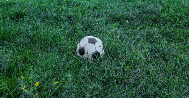 日陰の芝生の上のサッカーボール - grass area flash ストックフォトと画像