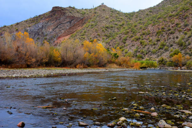 istock Salt River Recreation Area Arizona 1954746261