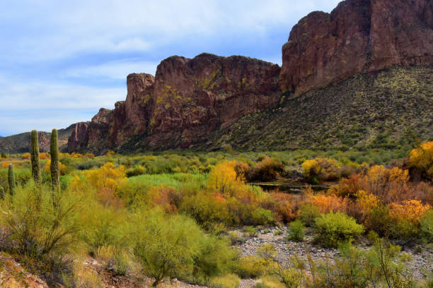 istock Salt River Recreation Area Arizona 1954746274