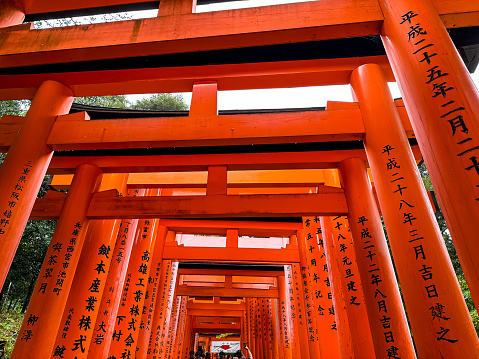 Kyoto, Japan - 10.11.2023. Fushimi Inari Taisha Sembon Torii (Thousand Torii Gates) in Kyoto, Japan. Fushimi Inari-taisha Shrine. Thousands countless vermilion Torii gates on a hill. Popular touristic destination.