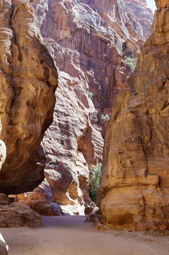 Jordan. Petra. Picturesque Siq Canyon. Narrow winding gorge with steep walls is road to main attraction, сity of Petra. Colorful rocks, filled with history, reach 300 meters in height in some places.