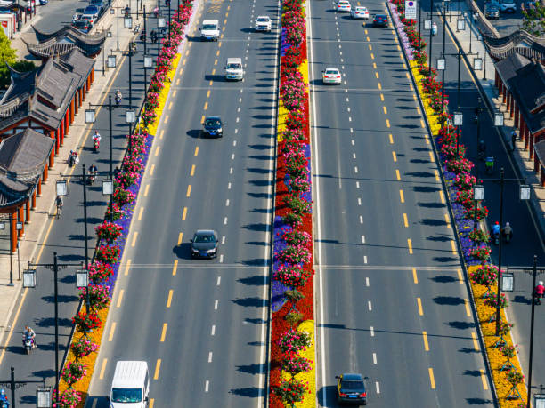 istock Flowers Along Urban Highways 1954772923