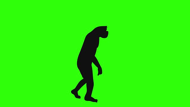 Human Evolution Silhouette Animation.