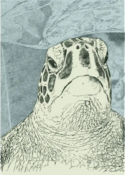Vector illustration of Giant Turtle Head