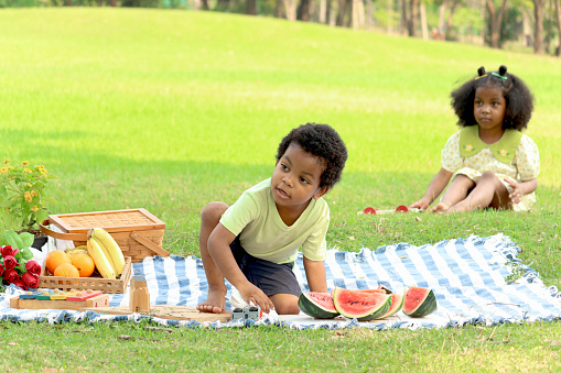 Happy African children spending time in green garden outdoors, boy with black curly hair sitting on mat with fruit basket with blurred background of his sister girl. Kid has picnic in summer park.