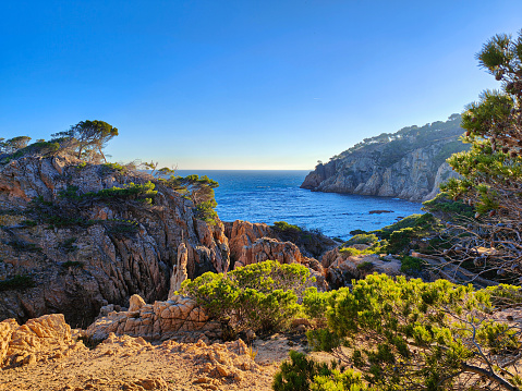 Beautiful sunny coast of Cala Aigua Xelida, Tamariu.  Rocky shore, cliffs, blue water, green pine trees. Begur, Girona, Catalonia, Spain