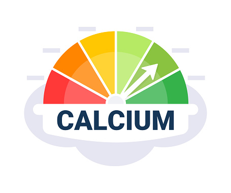 Nutritional Calcium Intake Level Chart Vector Illustration with Optimal Dietary Zone Indicator.