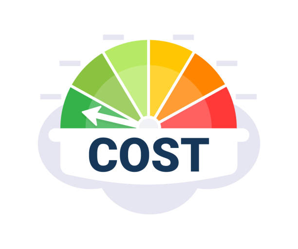 ilustrações, clipart, desenhos animados e ícones de rastreador de despesas financeiras com ilustração vetorial do medidor de eficiência de custo e zonas de orçamento - estilo de vida frugal