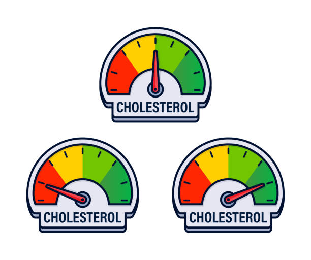 Collection of Cholesterol Level Gauges Vector Illustration with Health Risk Assessment Zones Collection of Cholesterol Level Gauges Vector Illustration with Health Risk Assessment Zones. triglyceride stock illustrations