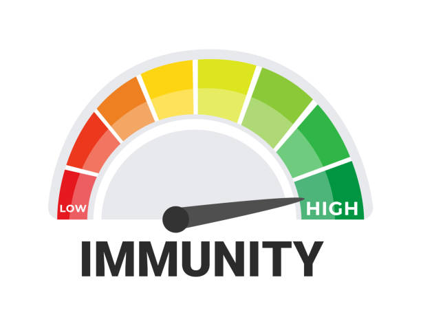 векторная иллюстрация индикатора уровня иммунитета, датчик иммунного ответа с цветовой кодировкой от низкого до высокого - immune defence stock illustrations