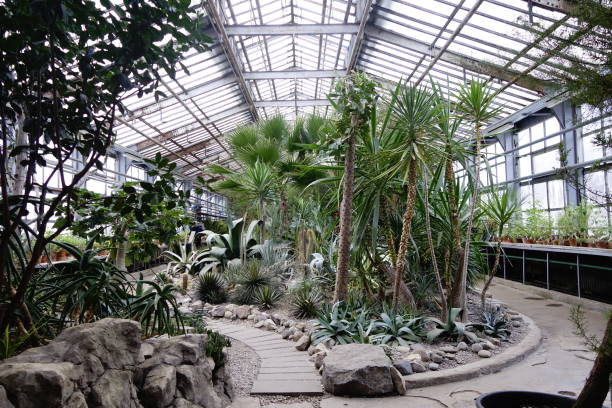 istock Tropical plants inside a greenhouse during a snowy winter 1954815702