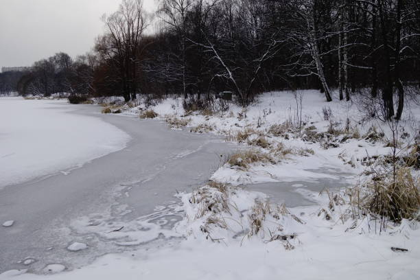 istock Winter landscape with frozen water 1954822639