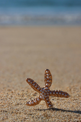 White starfish on the seashore. Horizontal format, selective focus on the star. Sea summer landscape