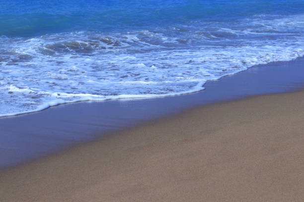Sea wave on sandy beach morning sun light nature landscape