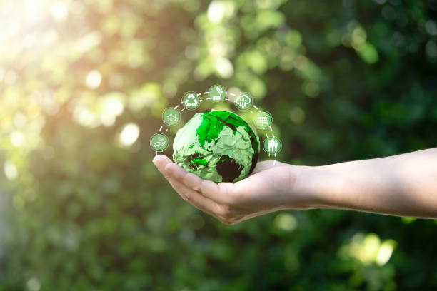 fotografii de stoc, fotografii și imagini scutite de redevențe cu businessman holding green scrap paper ball with world map and environment icon such as carbon reduction green factory recycle and solar cell for zero carbon emission credit to prevent global warming. - stil de viaţă sustenabil