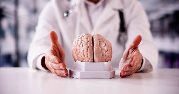 istock Doctor Holding Cognitive Rehabilitation, Dementia 1954847016