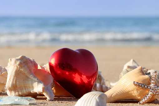 Celebration Valentine's day on beach, rings on shell. Wedding proposal concept. Closeup