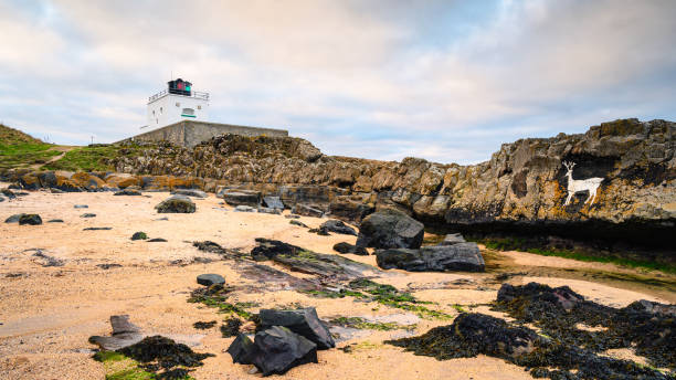 stag rock et le phare de bamburgh - northumberland england bamburgh lighthouse beach photos et images de collection