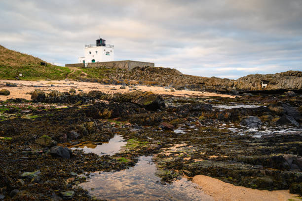 phare de bamburgh à côté de stag rock - northumberland england bamburgh lighthouse beach photos et images de collection