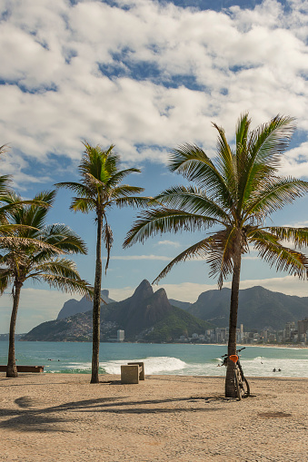 Rio de janeiro, Brazil. Leblon Beach and Dois Irmãos hill seen from Millor Square in Arpoador with the palm trees on a sunny day.