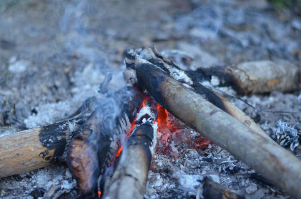 istock Let's build a fire on a cold morning in the provinces. 1954924498