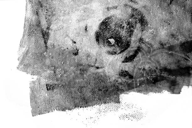 istock Abstract gel printed black and white backgrounds with a grunge-like look 1954934978