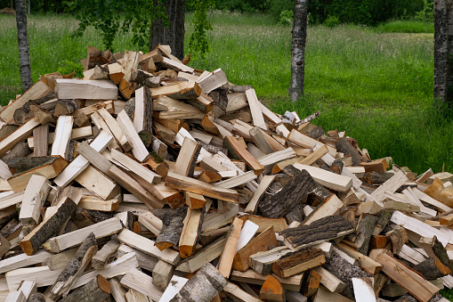 A large pile of firewood on the meadow. Trees, timber has been cut and split into firewood to be used as fuel for heating in fireplaces and furnaces in the.