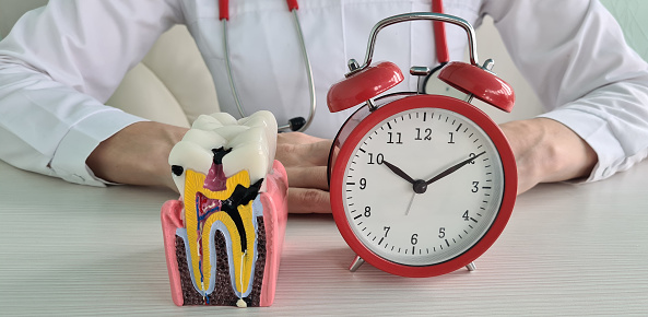 Doctor dentist anatomy of tooth with caries and alarm clock. Time and dental treatment