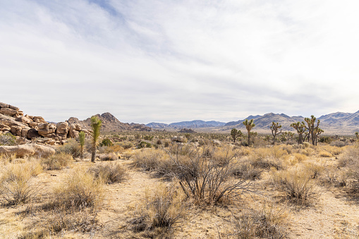 Wild west California Mojave Desert with mountains in background