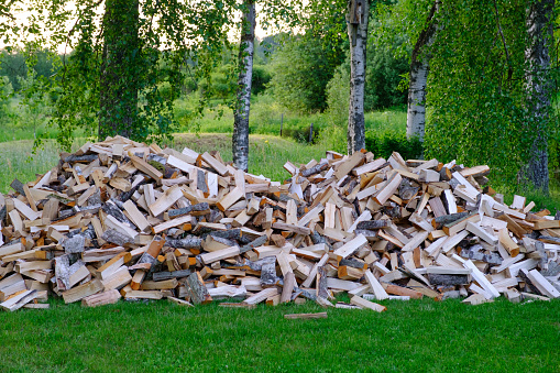 A large pile of firewood on the meadow. Trees, timber has been cut and split into firewood to be used as fuel for heating in fireplaces and furnaces in the.