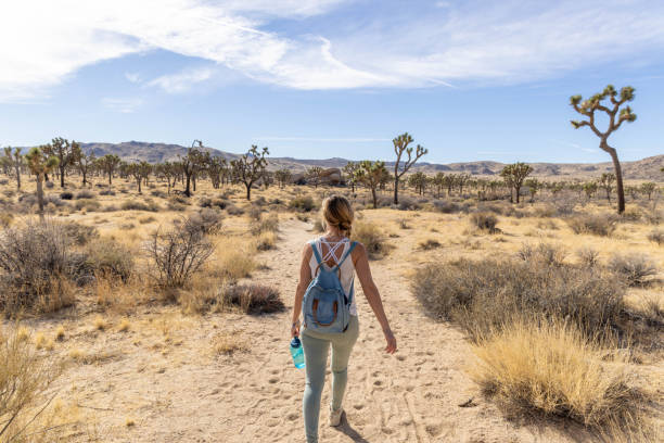 istock Lone Wanderer: A Woman's Solo Hike with Water in Hand 1954980480