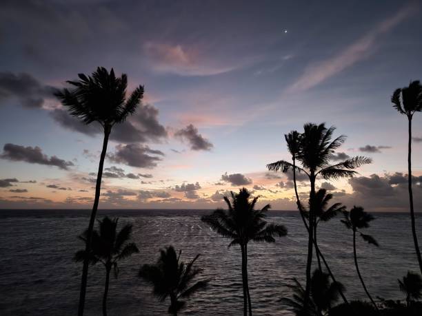 istock Sunrise over the ocean 1954987376