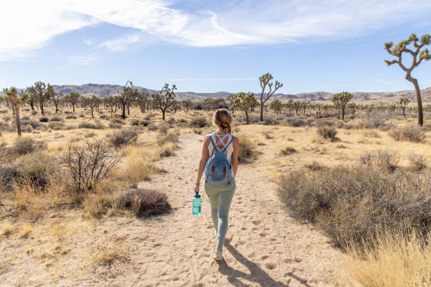 istock Lone Wanderer: A Woman's Solo Hike with Water in Hand 1954992113