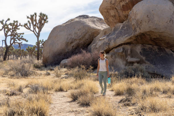 istock Lone Wanderer: A Woman's Solo Hike with Water in Hand 1955002683