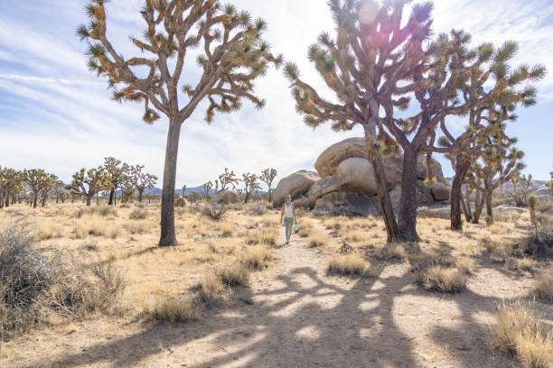 istock Lone Wanderer: A Woman's Solo Hike with Water in Hand 1955007050