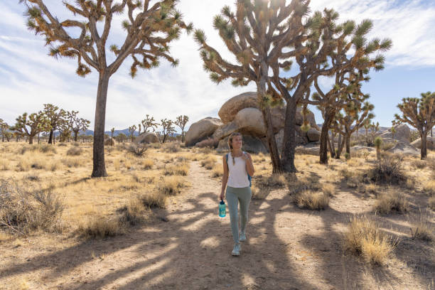 istock Lone Wanderer: A Woman's Solo Hike with Water in Hand 1955007606