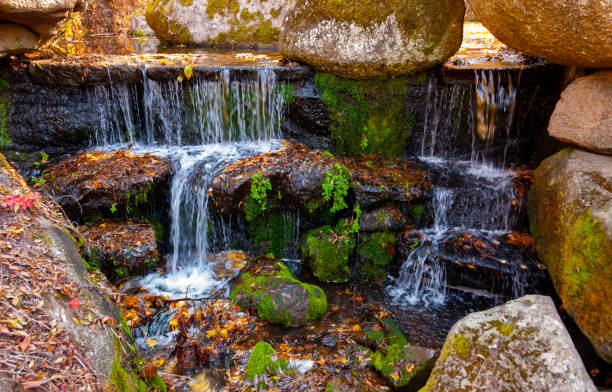 small man-made waterfall in sofievsky park, uman, ukraine - uman fotografías e imágenes de stock