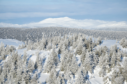 View from a ski slope at Kvitfjell Alpine Ski Resort in Norway in winter (February). Kvitfjell is known for hosting the men's and women's alpine speed events at the 1994 Winter Olympics.